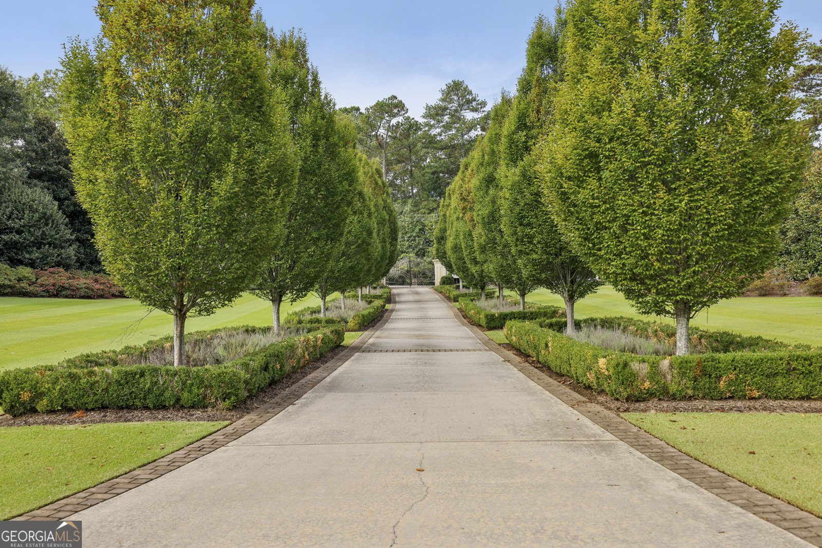 6525 Garett Raod Buford - Photo 9