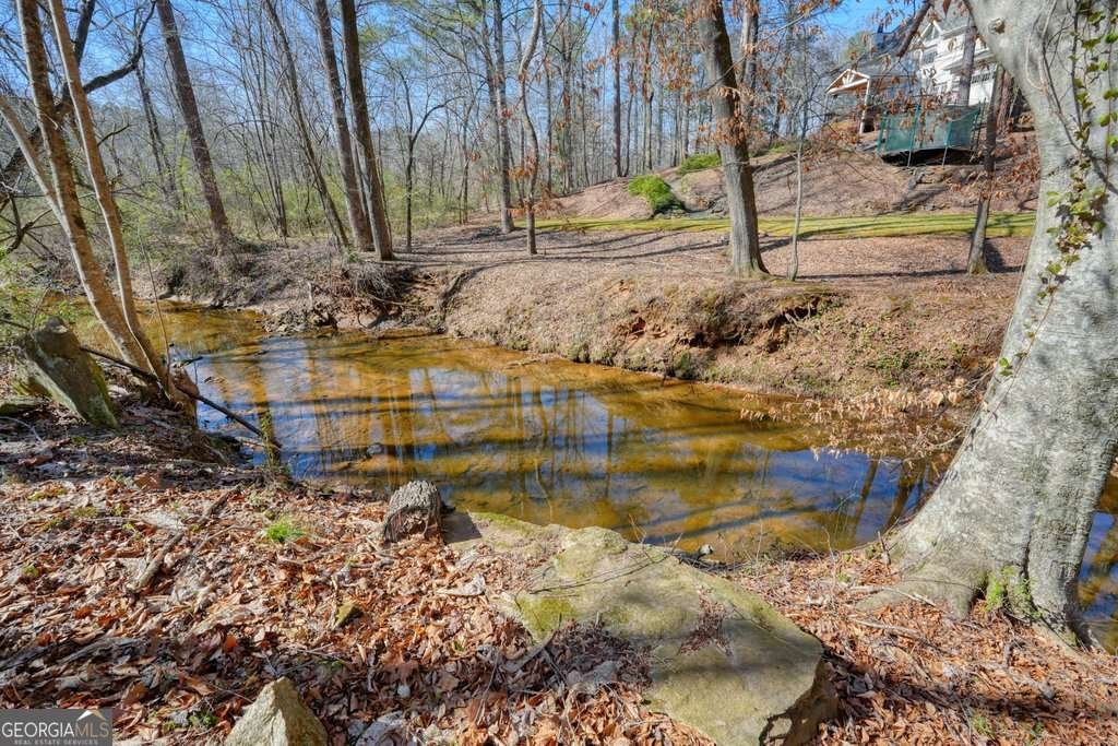 3097 Oak Chase Drive Roswell - Photo 51