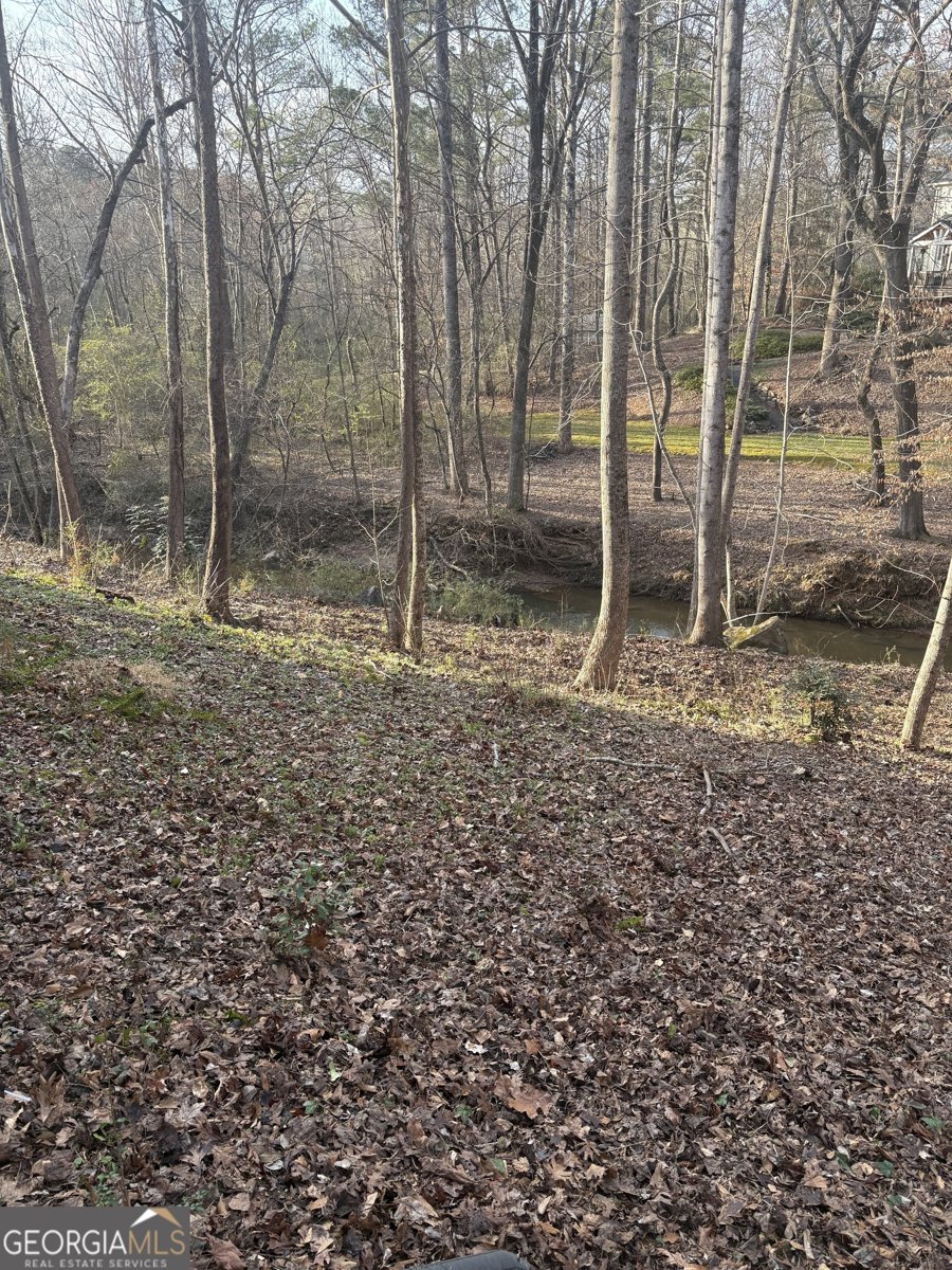 3097 Oak Chase Drive Roswell - Photo 54