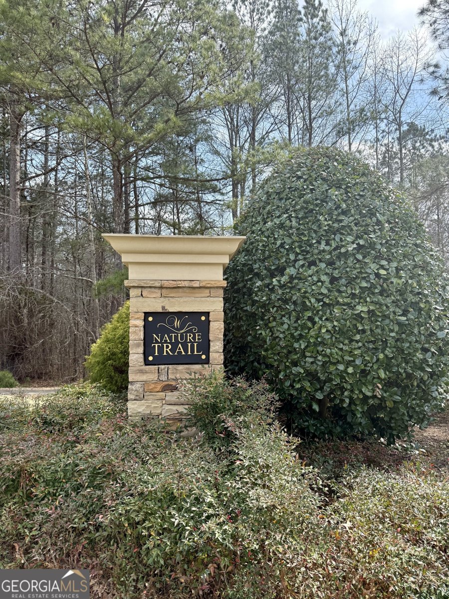 200 Persimmon Trail Woodstock - Photo 40