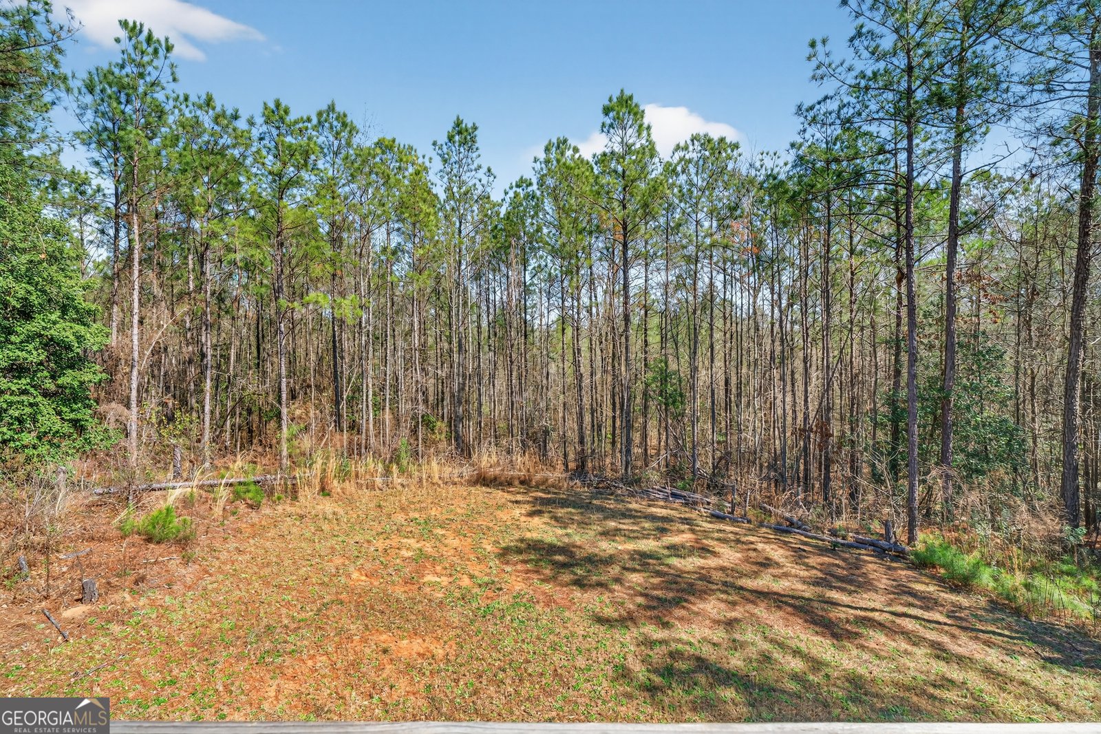 155 Shetland Pines Drive Macon - Photo 68