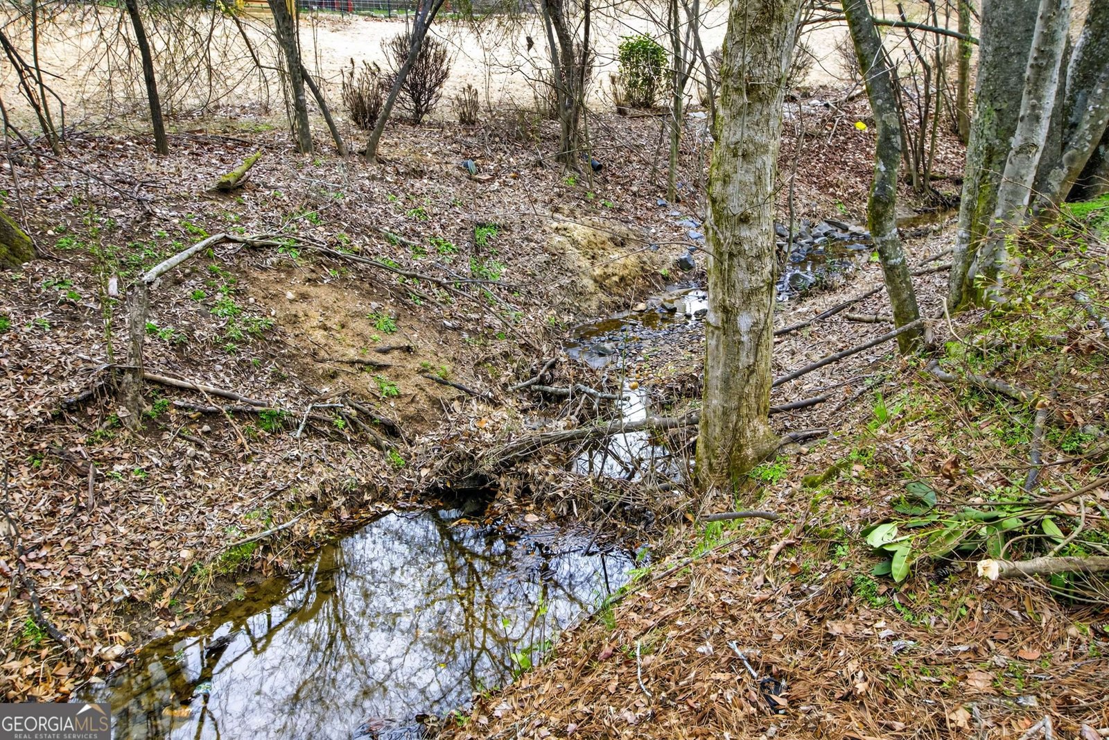10950 Regal Forest Drive Johns Creek - Photo 40