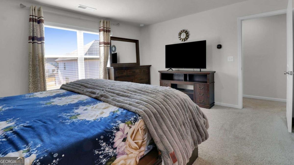 42 Springwood Lane Dawsonville - Photo 19