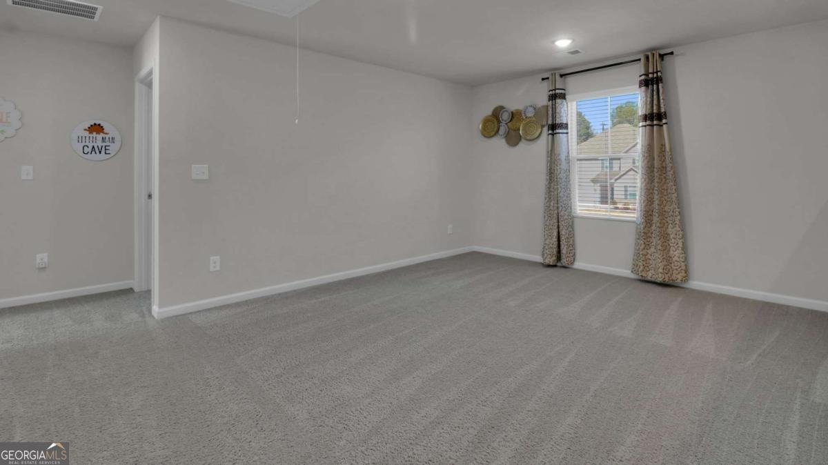 42 Springwood Lane Dawsonville - Photo 26