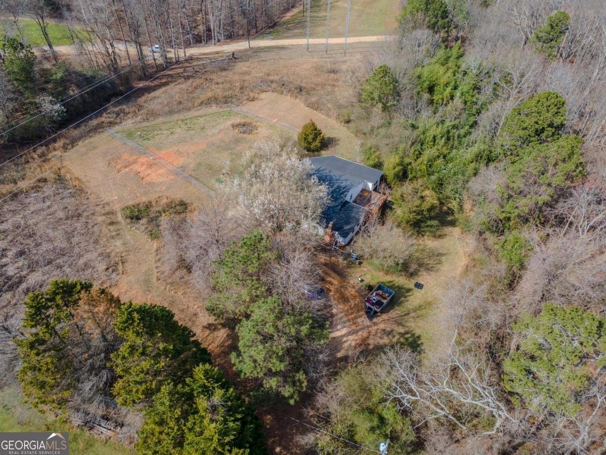 98 Viper Lane Braselton - Photo 34