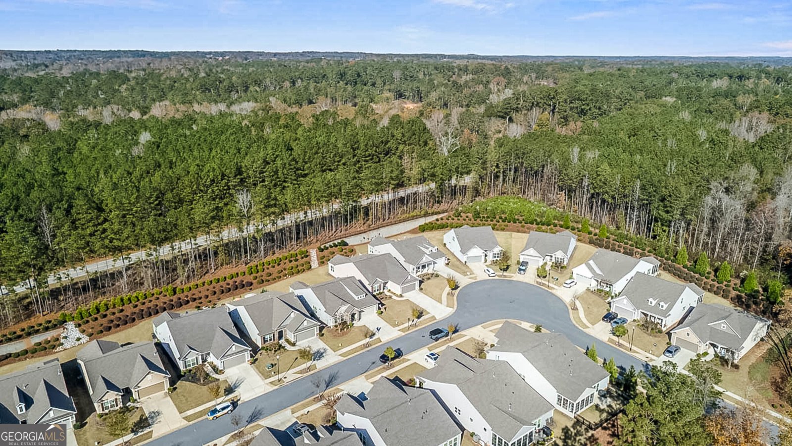 221 Little Gem Court Griffin - Photo 38