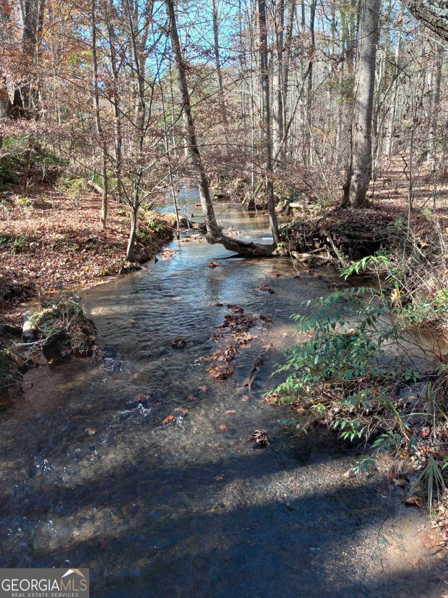 1356 Woodbrier Sautee Nacoochee - Photo 39