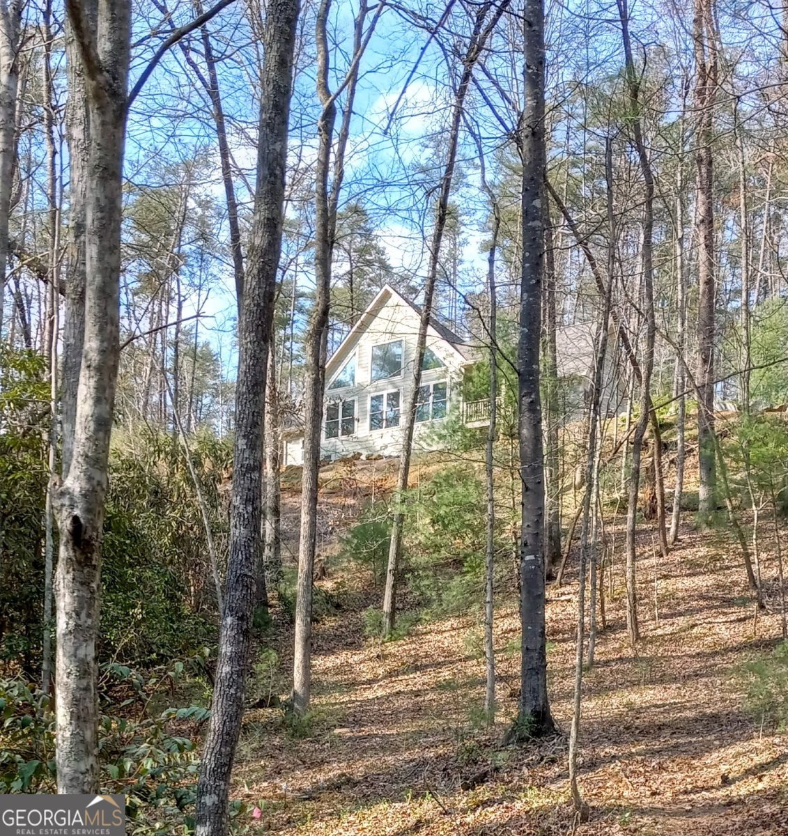 1356 Woodbrier Sautee Nacoochee - Photo 40