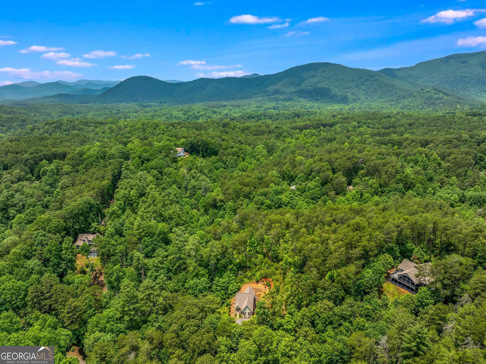 1356 Woodbrier Sautee Nacoochee - Photo 43