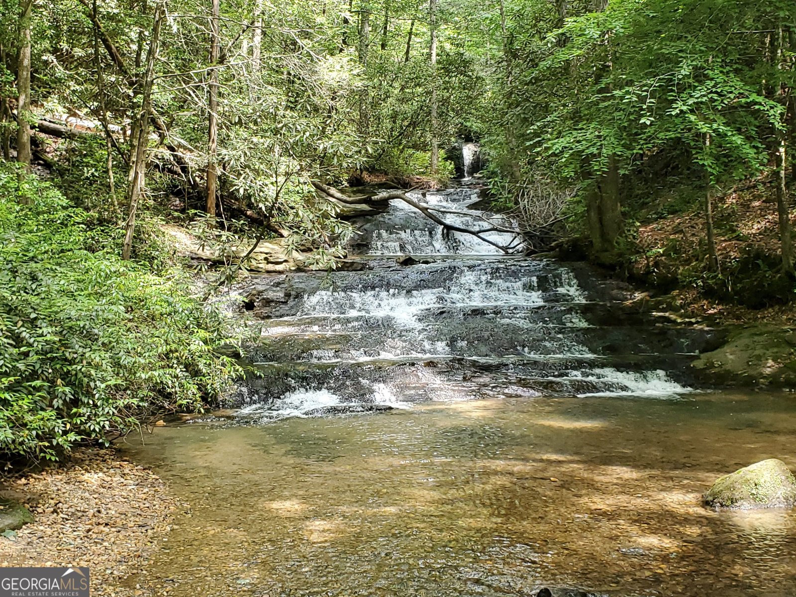 1356 Woodbrier Sautee Nacoochee - Photo 50