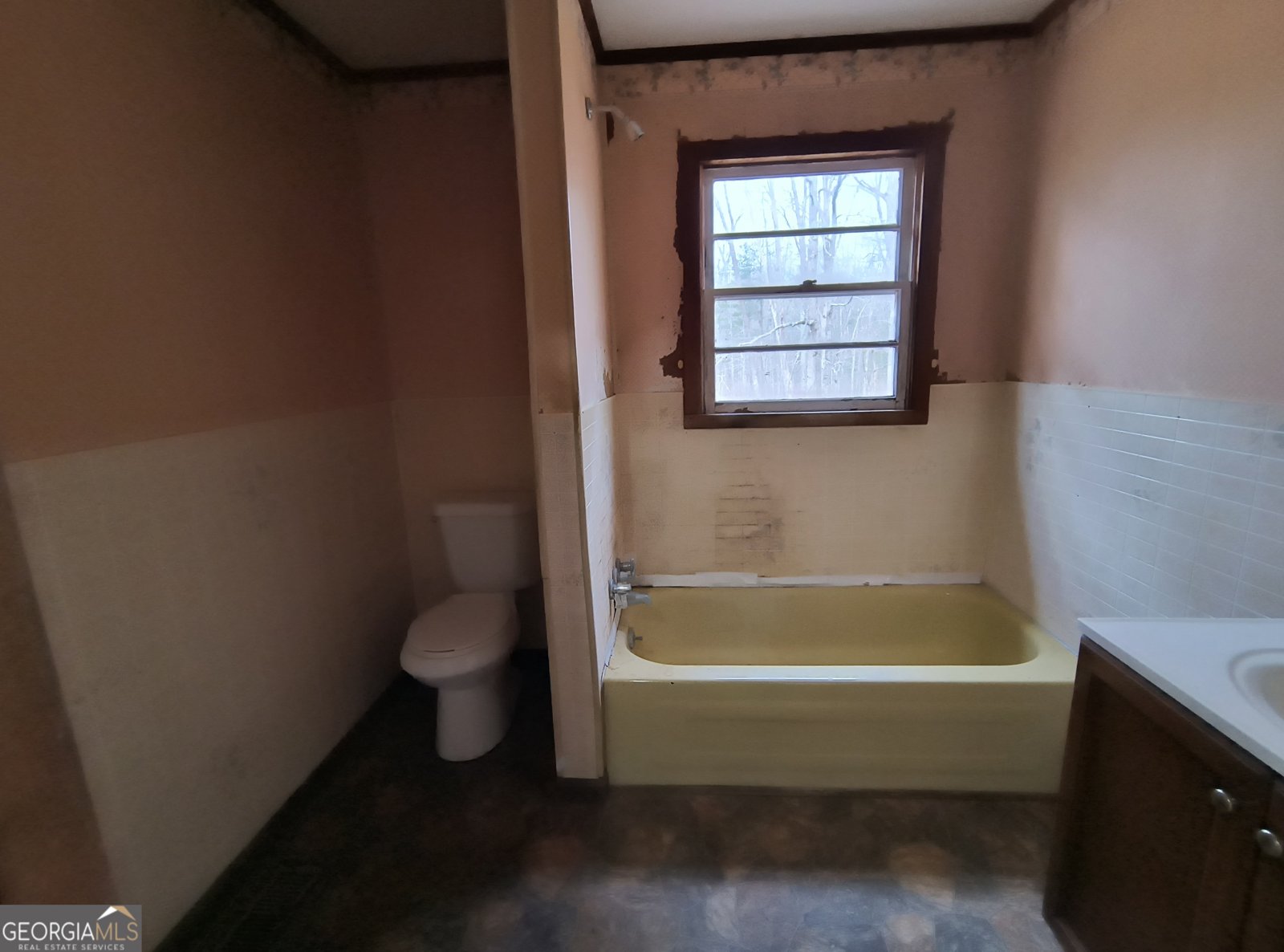 3525 Chestnut Gap Road Blue Ridge - Photo 13