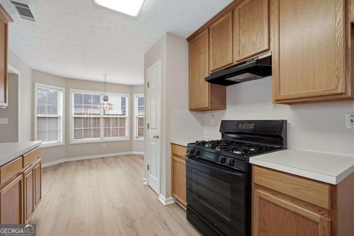 2116 Baltic Lane Dacula - Photo 19