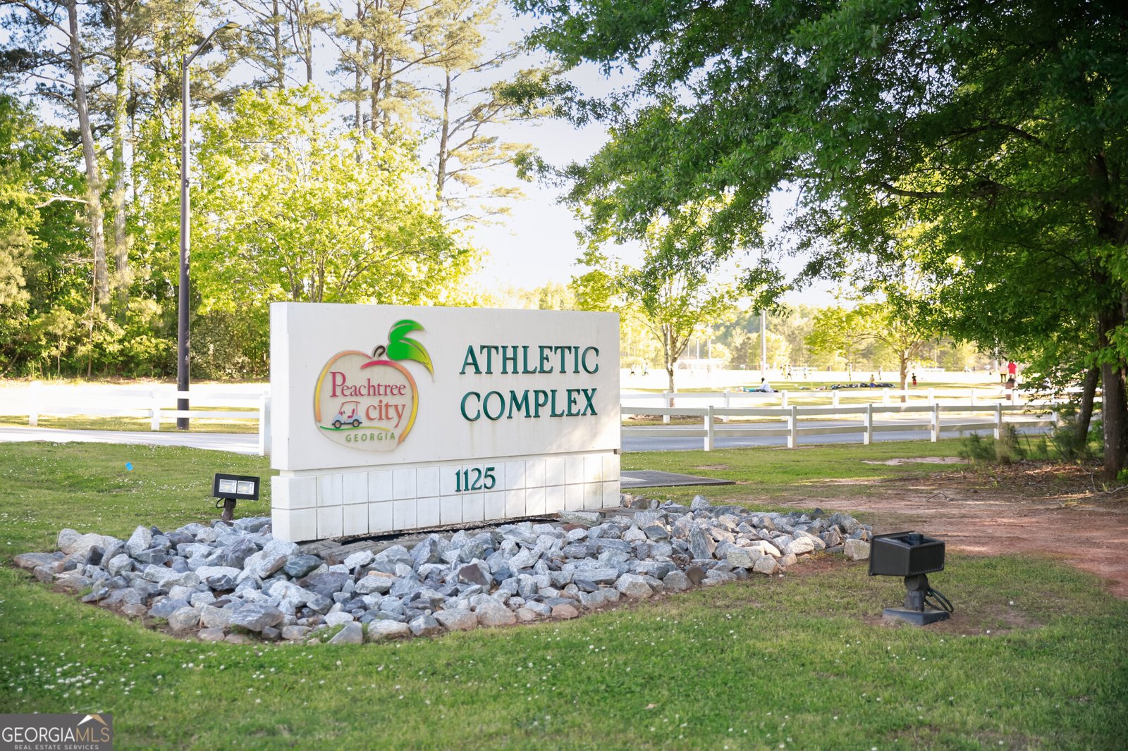 308 Dalston Way Peachtree City - Photo 54