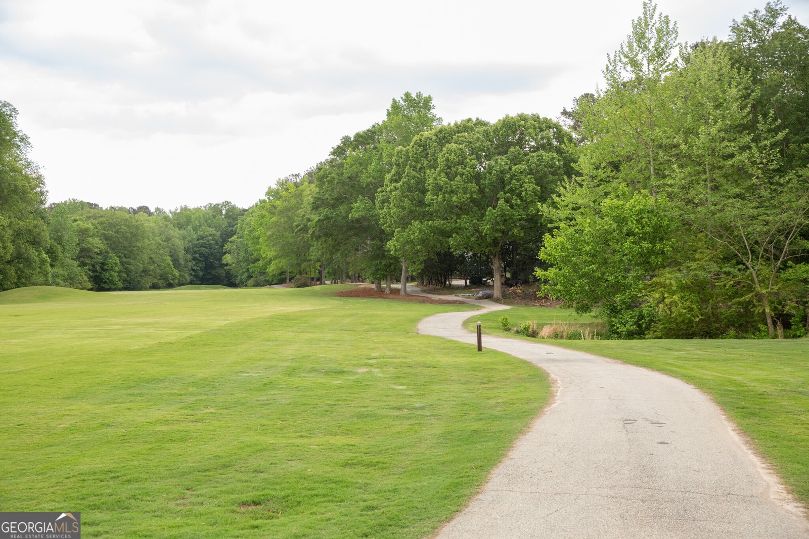 308 Dalston Way Peachtree City - Photo 55