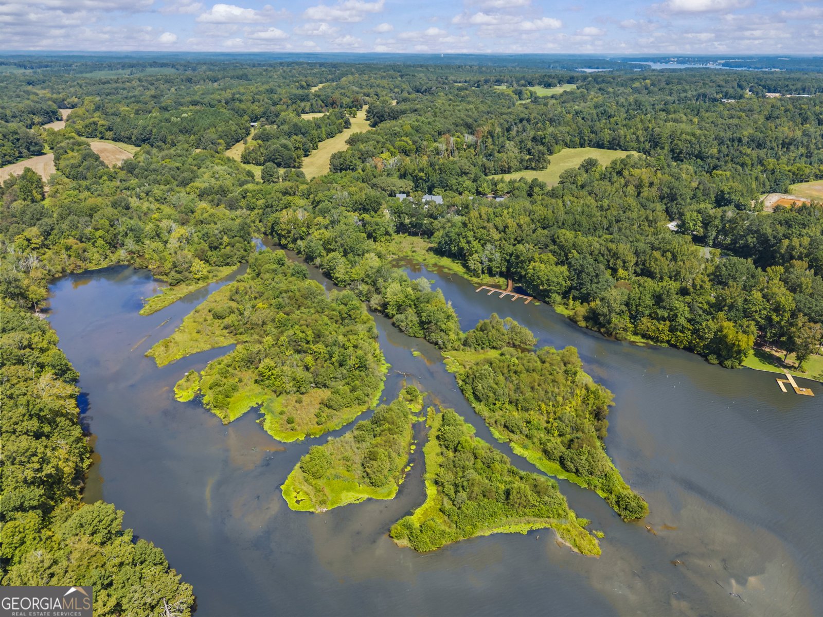 181-H Farriers Lane Eatonton - Photo 53