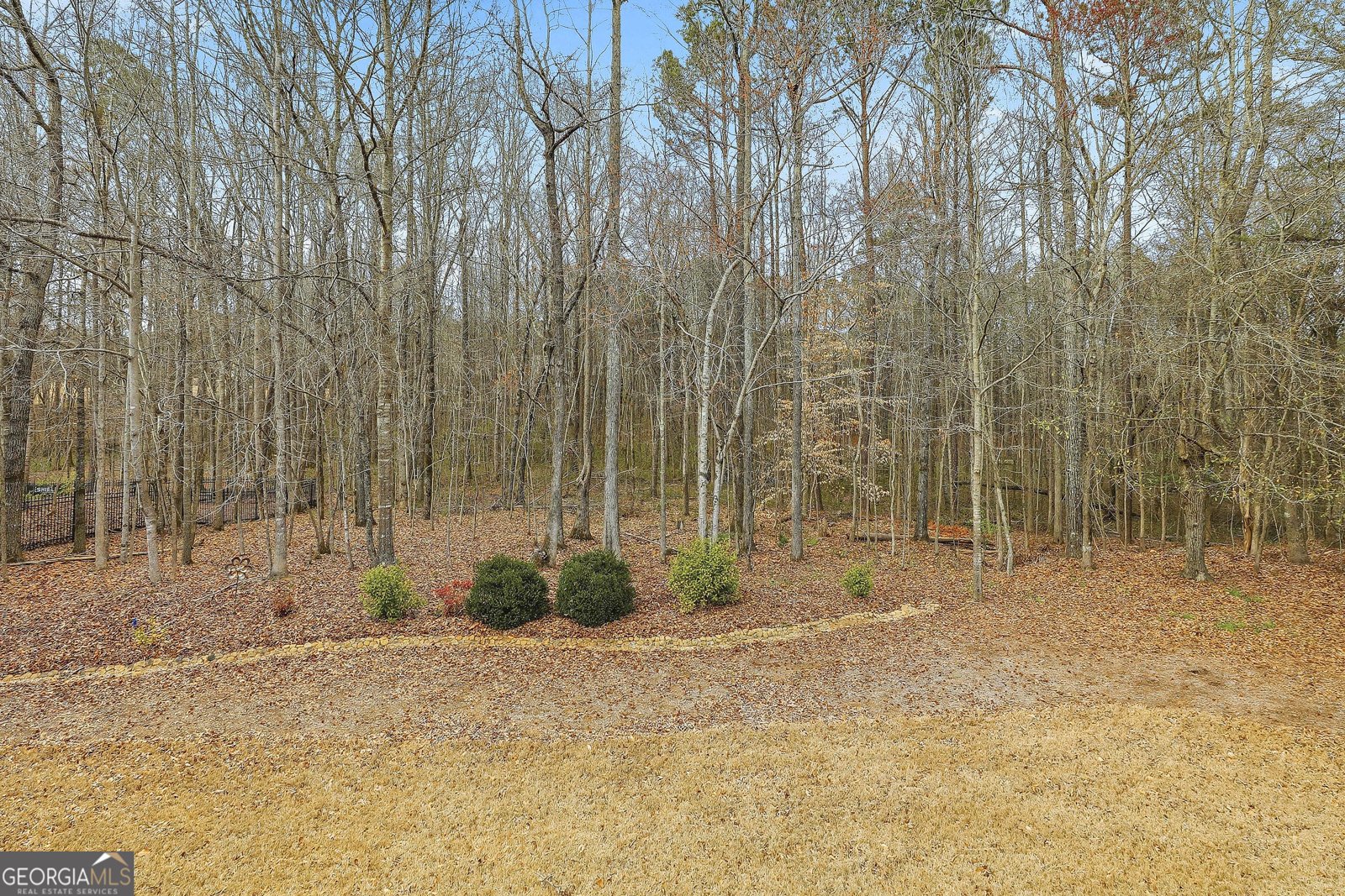 235 Ashmere Court Tyrone - Photo 57