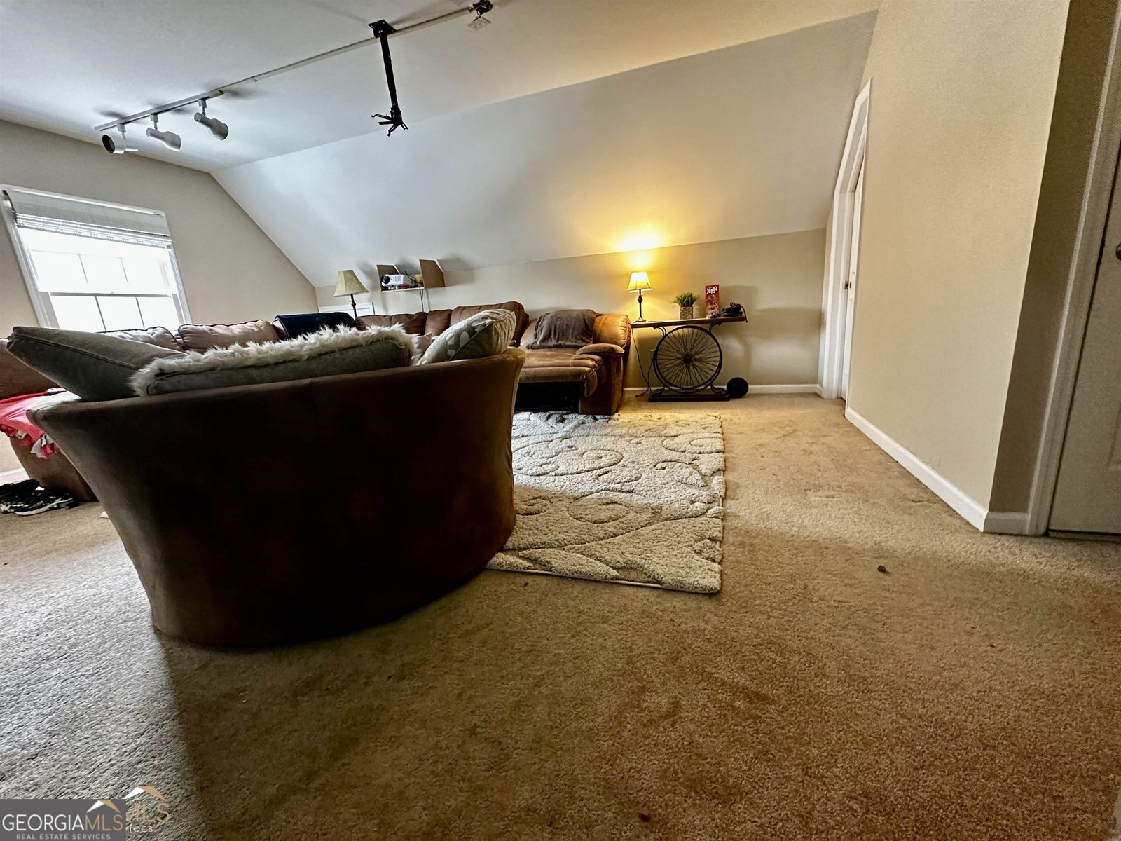 100 Cheek Drive Dublin - Photo 26