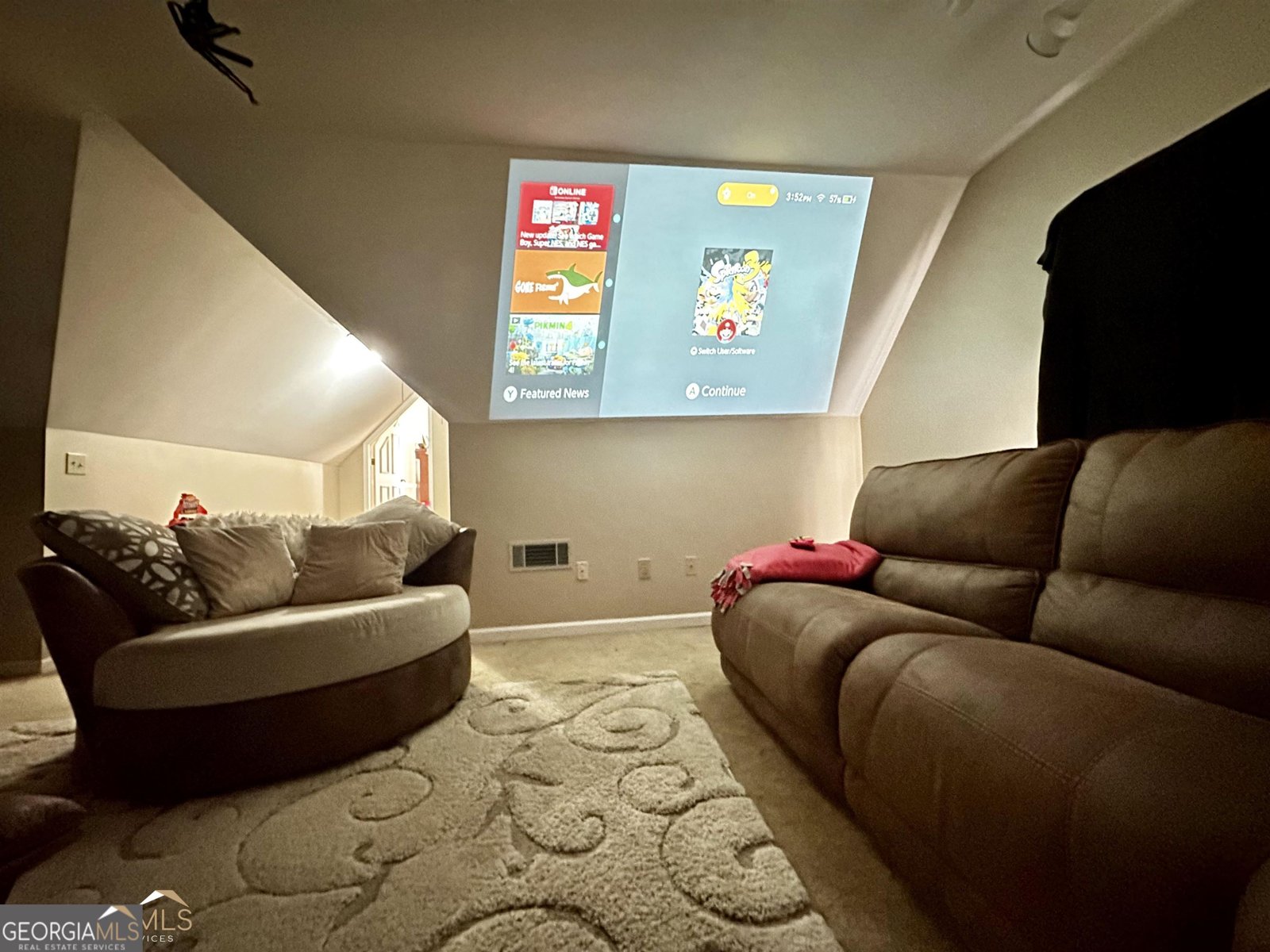 100 Cheek Drive Dublin - Photo 28