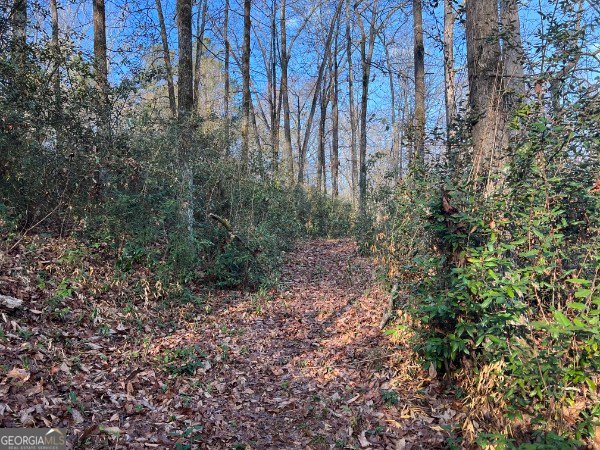 1068 Lamar Road Macon - Photo 33