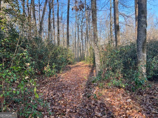 1068 Lamar Road Macon - Photo 34