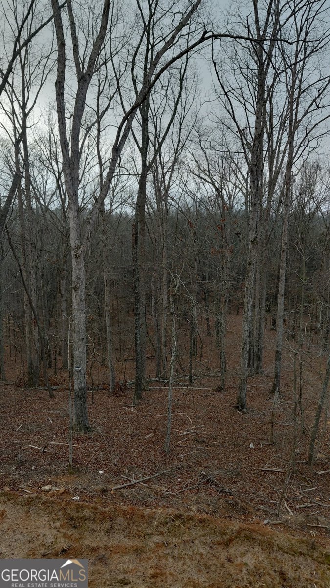 5905 Langdale Chase Douglasville - Photo 6