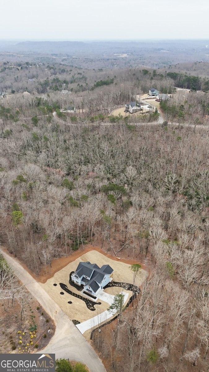 154 Planters Creek Baldwin - Photo 109