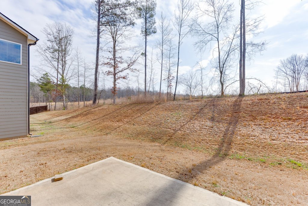 47 Station Overlook Drive Auburn - Photo 33