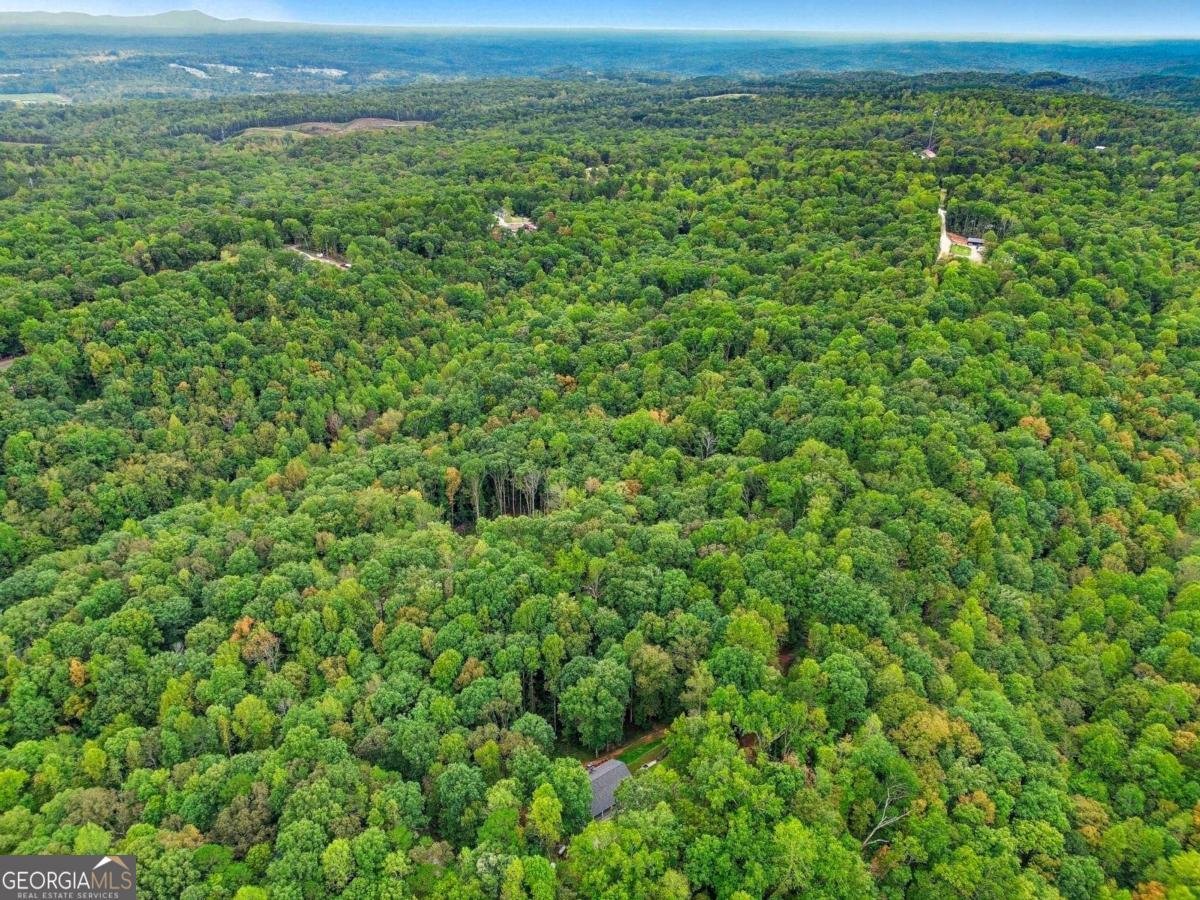 1190 Mill Creek Drive Dawsonville - Photo 43