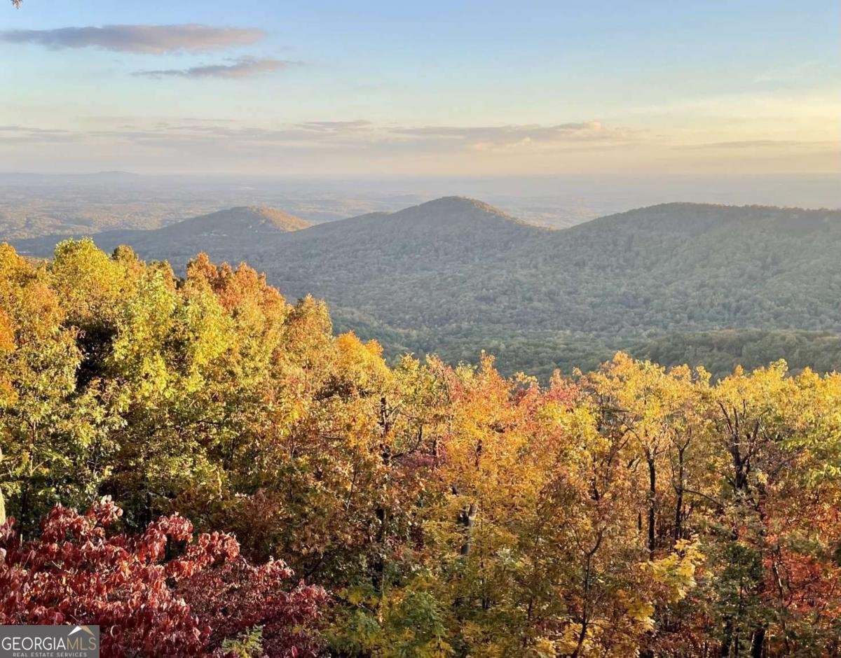 524 Sanderlin Mtn Drive Jasper - Photo 27