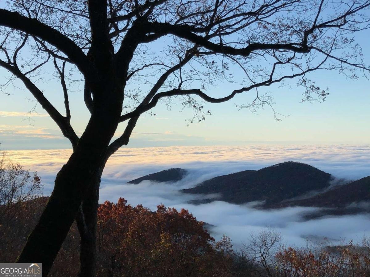 524 Sanderlin Mtn Drive Jasper - Photo 28