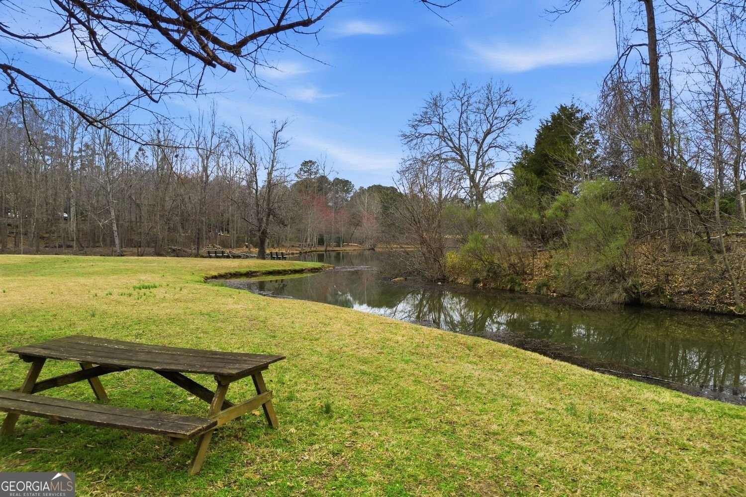 44 Arbor Shores Drive Newnan - Photo 61