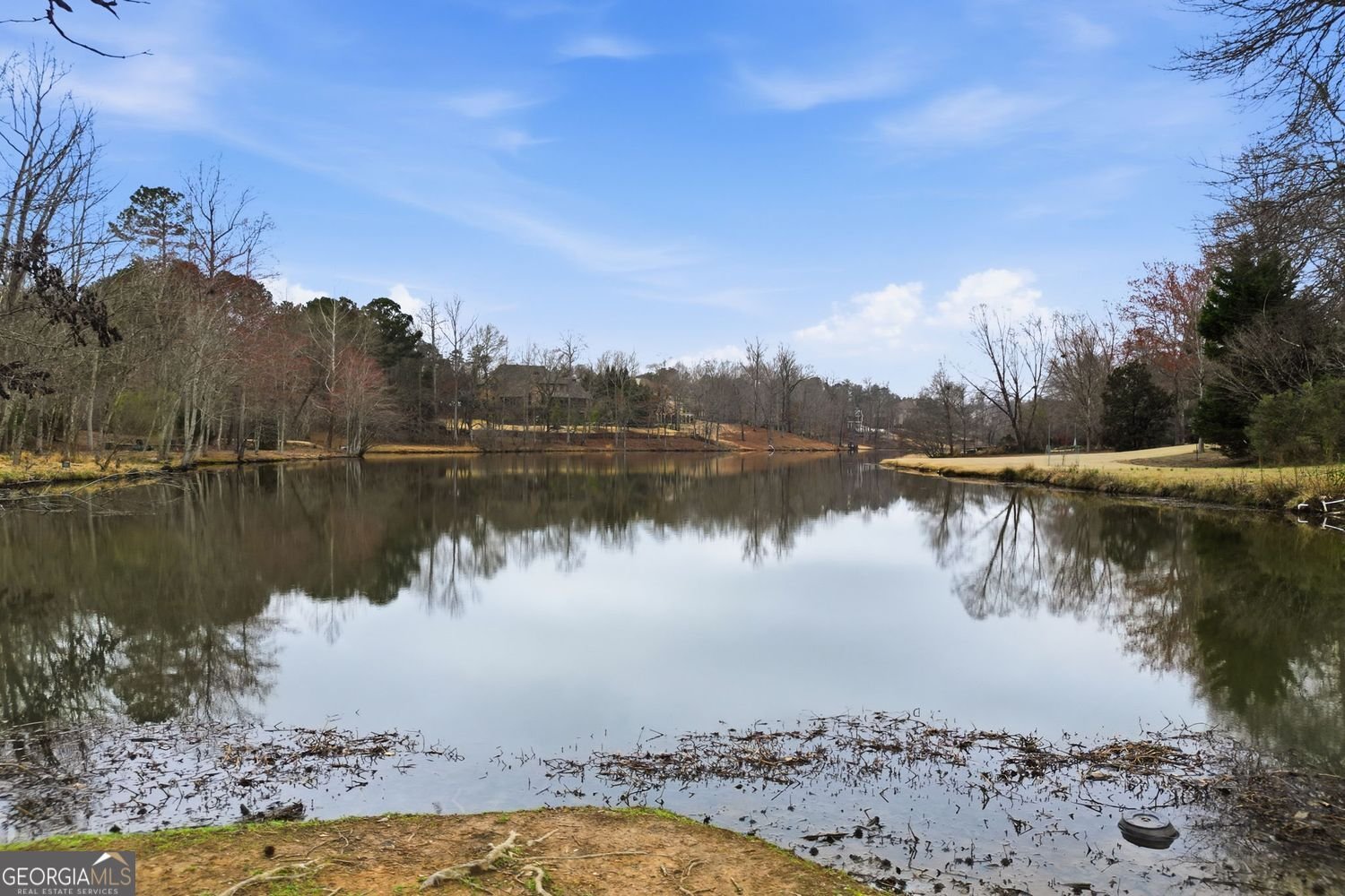44 Arbor Shores Drive Newnan - Photo 62