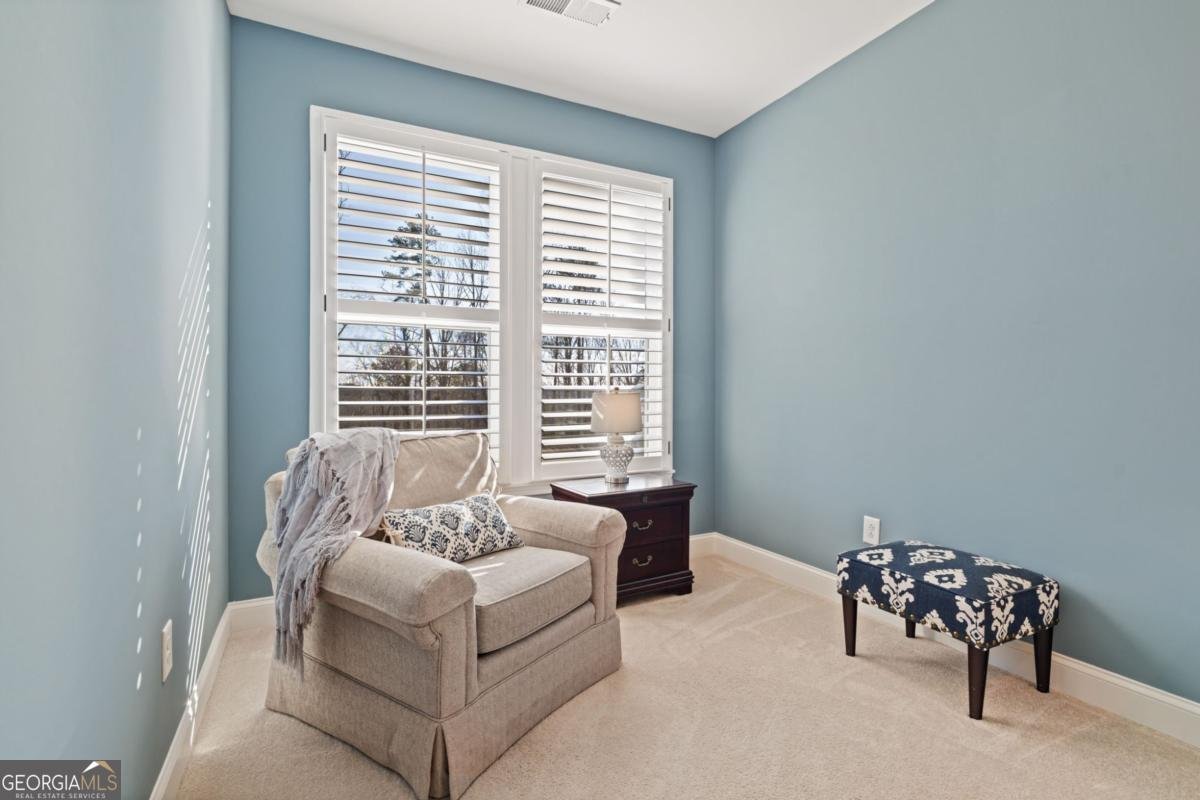 8425 Scenic Ridge Way Ball Ground - Photo 23