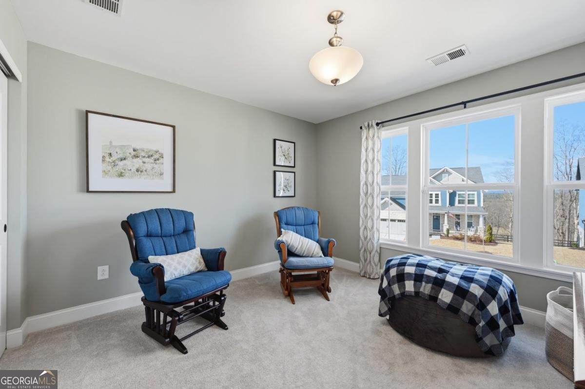 8425 Scenic Ridge Way Ball Ground - Photo 26