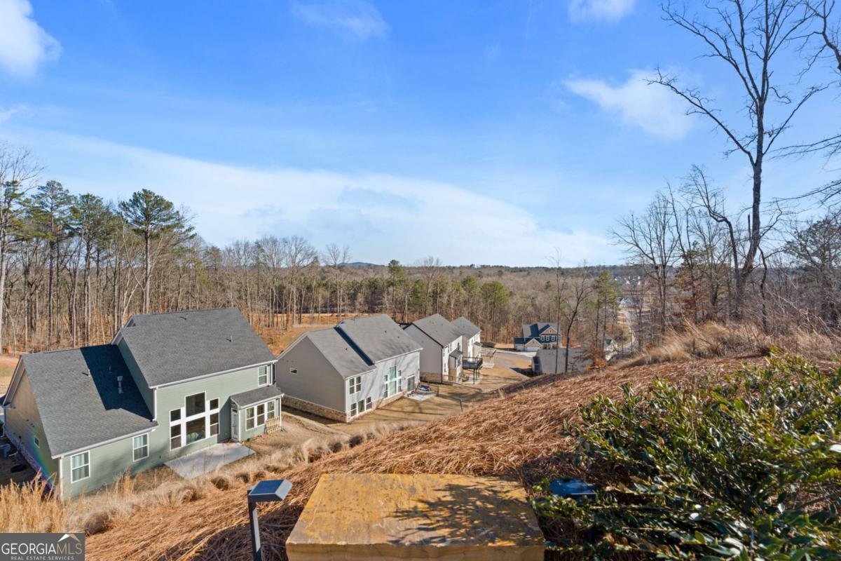 8425 Scenic Ridge Way Ball Ground - Photo 40