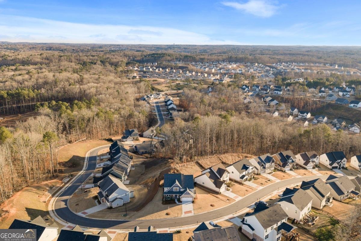 8425 Scenic Ridge Way Ball Ground - Photo 43