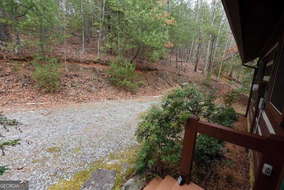 206 Misty Hollow Blue Ridge - Photo 20