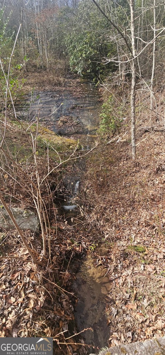 6159 Wolffork Road Rabun Gap - Photo 10