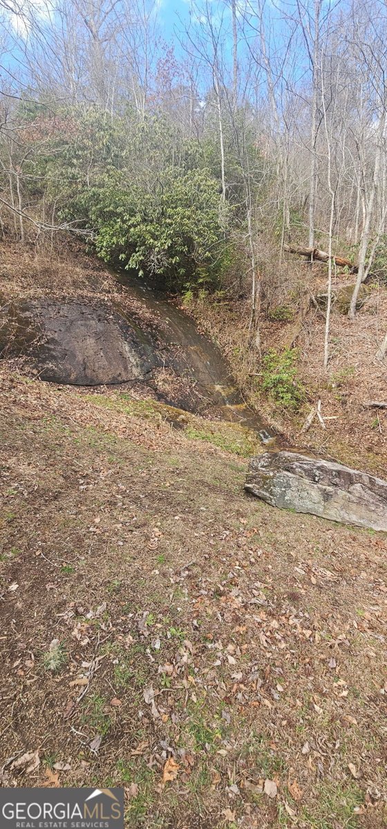 6159 Wolffork Road Rabun Gap - Photo 11