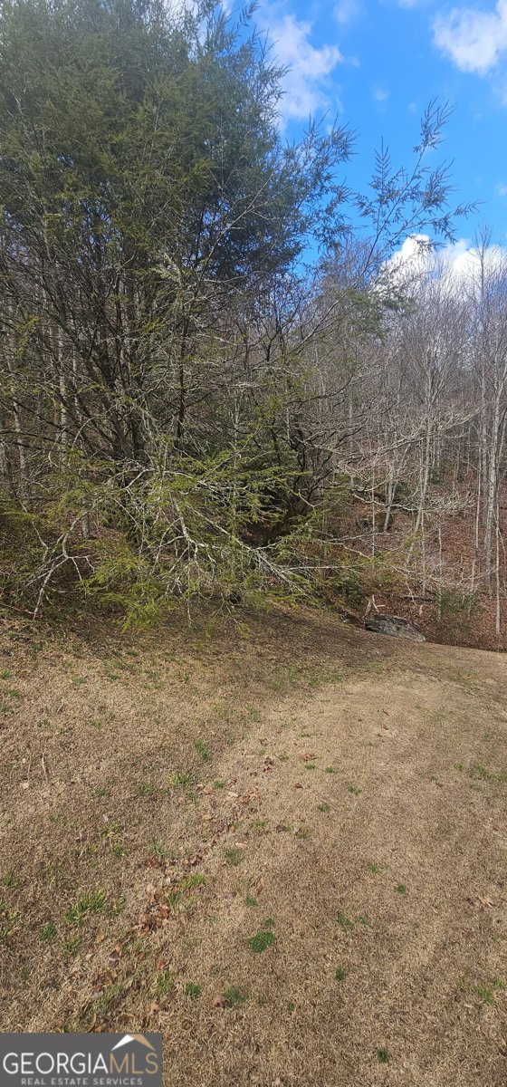 6159 Wolffork Road Rabun Gap - Photo 12