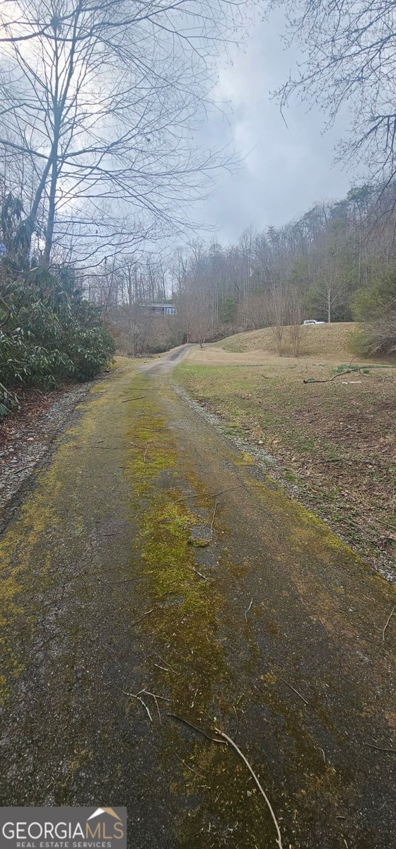 6159 Wolffork Road Rabun Gap - Photo 13