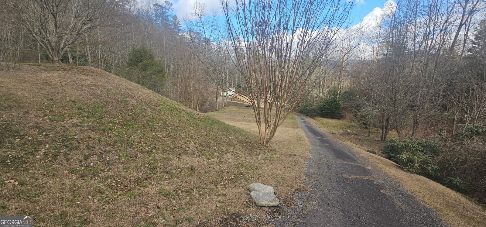 6159 Wolffork Road Rabun Gap - Photo 6