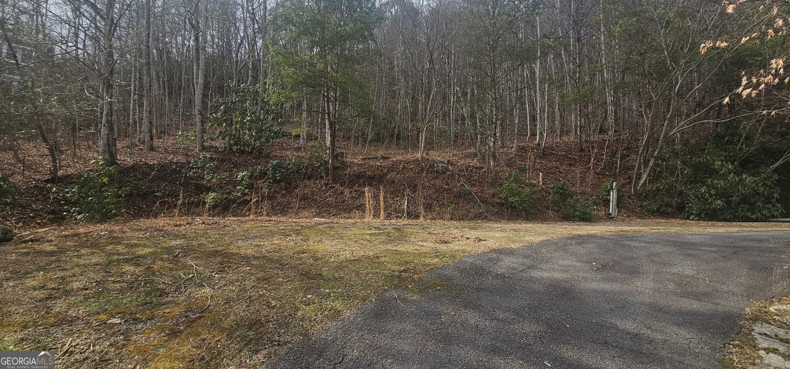 6159 Wolffork Road Rabun Gap - Photo 7