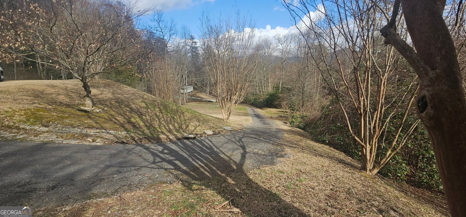 6159 Wolffork Road Rabun Gap - Photo 8