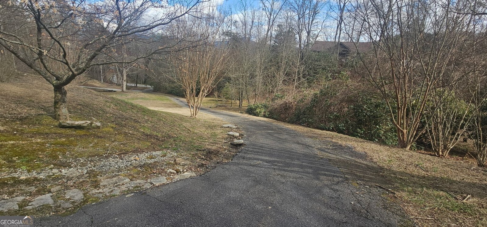 6159 Wolffork Road Rabun Gap - Photo 9