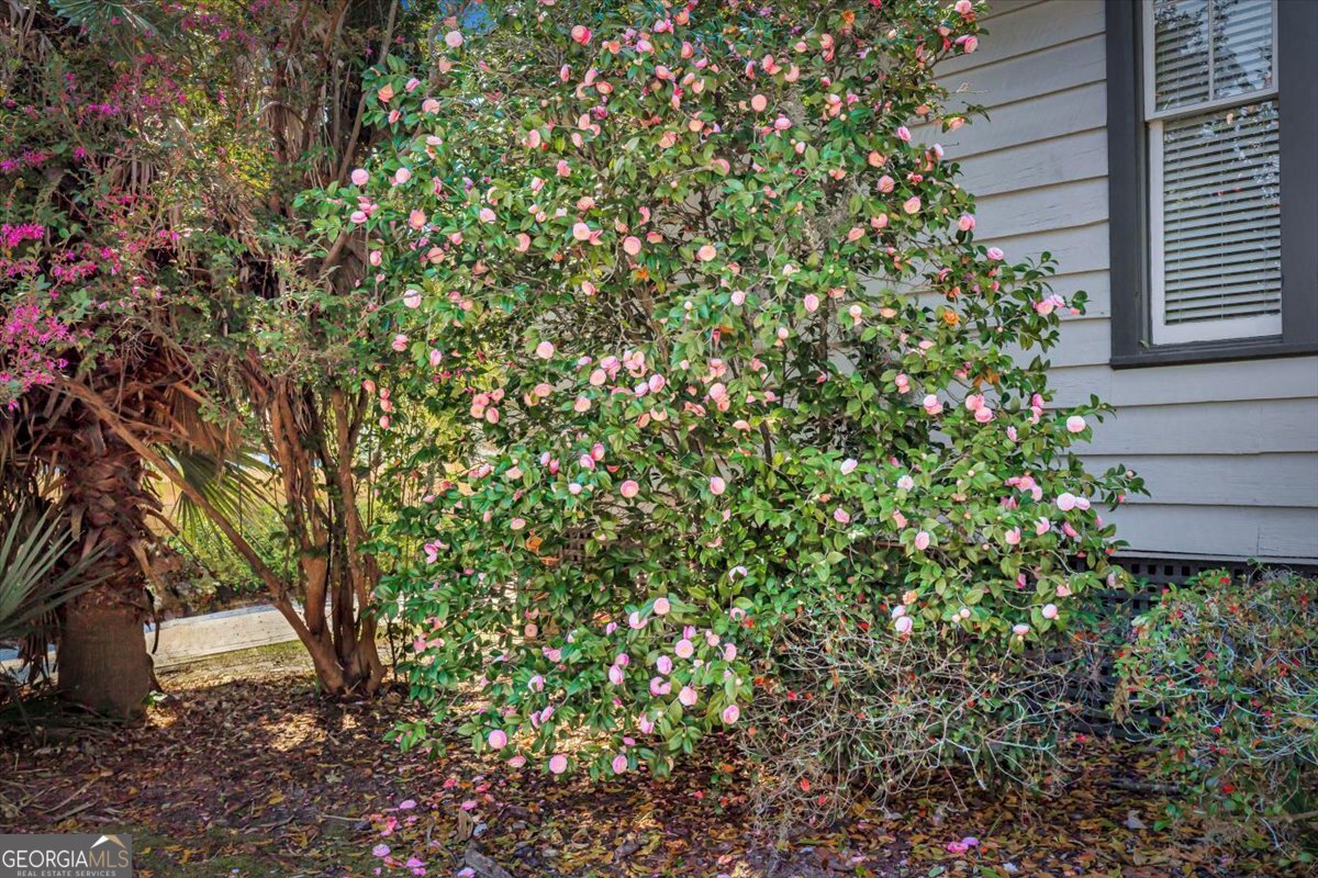 2403 Harmon Street Savannah - Photo 33