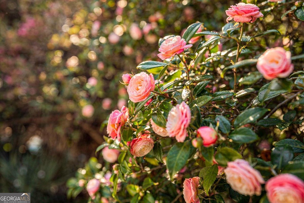 2403 Harmon Street Savannah - Photo 34