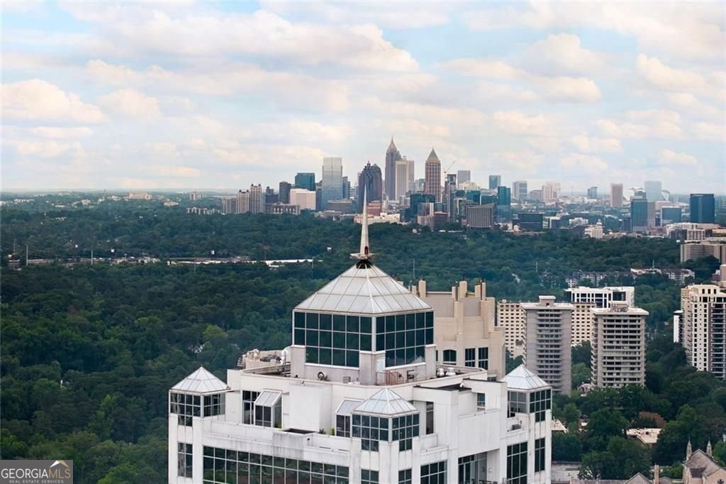 2828 Peachtree Road Atlanta - Photo 58