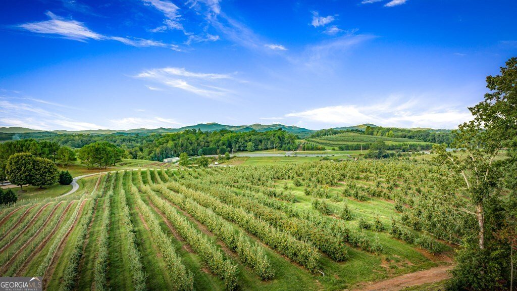 1241 Scenic Drive Blue Ridge - Photo 26