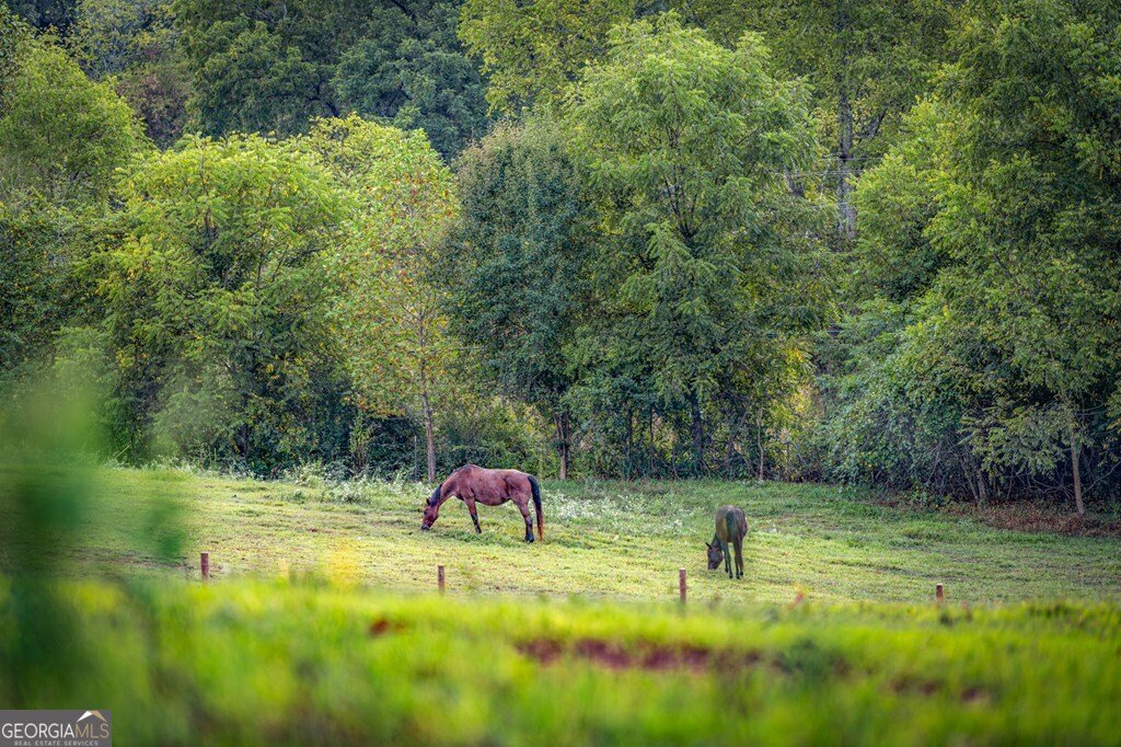 1241 Scenic Drive Blue Ridge - Photo 37